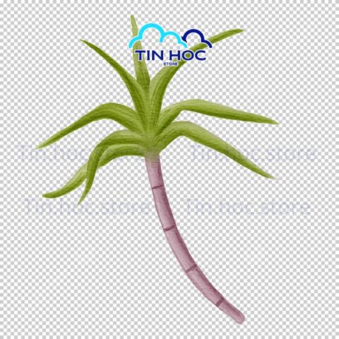 Mẫu cây mía vector cho thiết kế logo