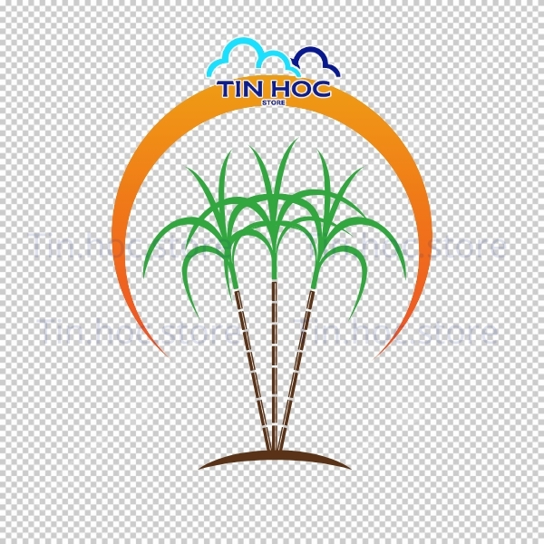 Mẫu cây mía vector minh họa thực vật