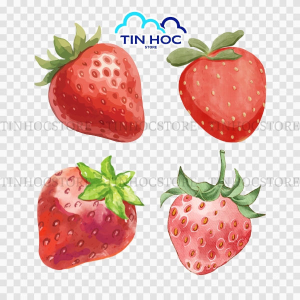 Dâu Tây Vector Tông Đỏ Hồng Nổi Bật
