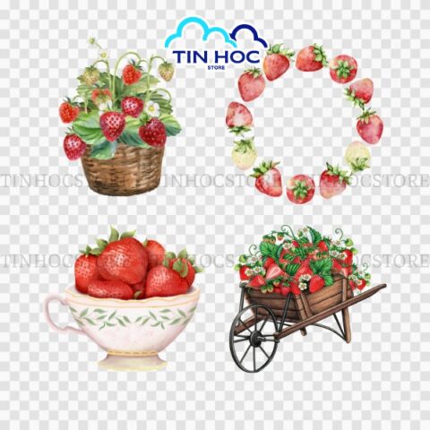 Dâu Tây Vector Phong Cách Flat Hiện Đại