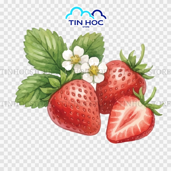 Mẫu Dâu Tây Vector Ngọt Ngào Phong Cách Tươi Sáng