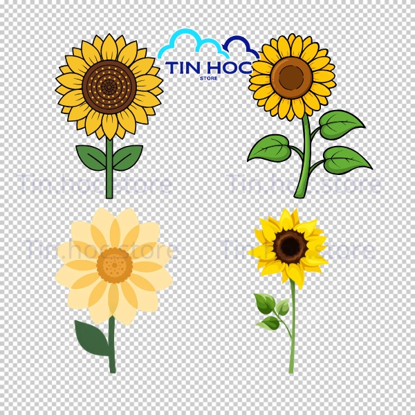 Hoa Hướng Dương Vector Trang Trí Poster Và Banner