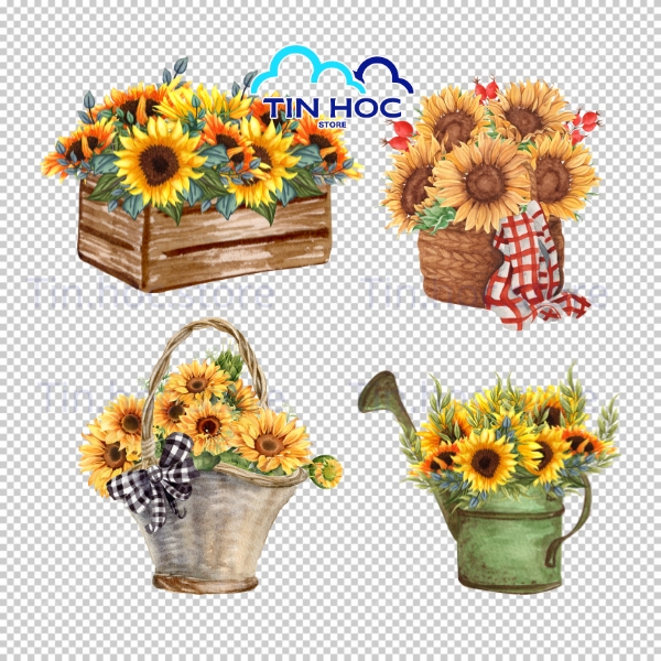 Họa Tiết Hoa Hướng Dương Vector Lặp Seamless