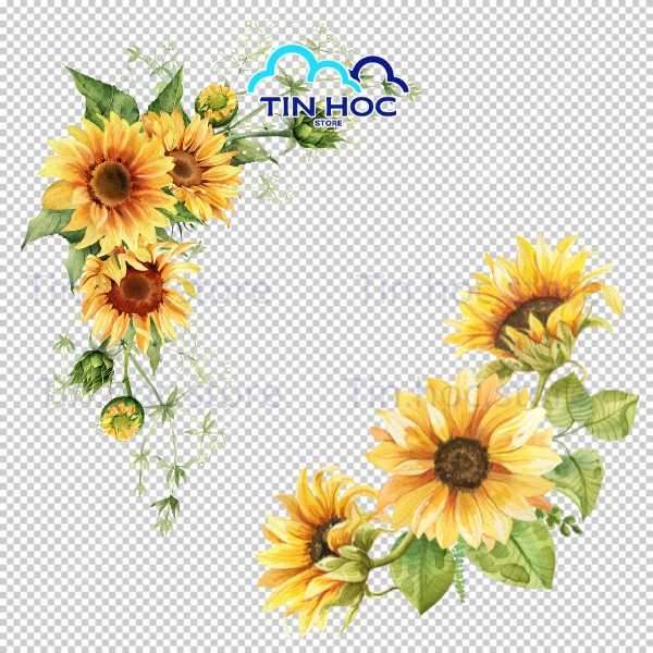 Mẫu Hoa Hướng Dương Vector Trang Trí Thiệp