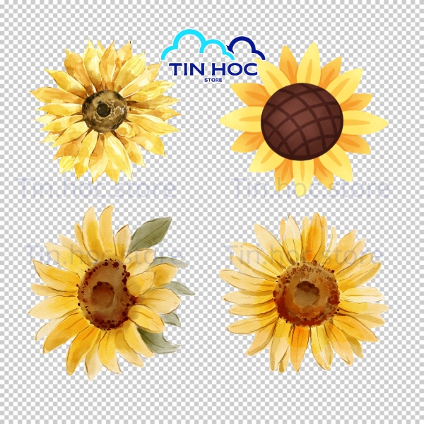 Mẫu Hoa Hướng Dương Vector Trang Trí Nền Hoa