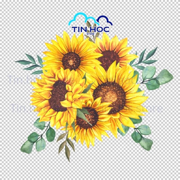 Mẫu Hoa Hướng Dương Vector Nền Hoa Tươi Sáng