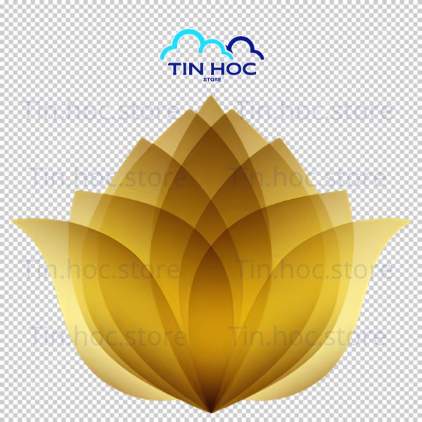 Mẫu hoa sen vàng vector tách nền PNG Mẫu hoa sen vàng vector tách nền PNG