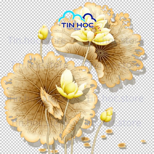 Dowload hoa sen vàng vector miễn phí Dowload hoa sen vàng vector miễn phí