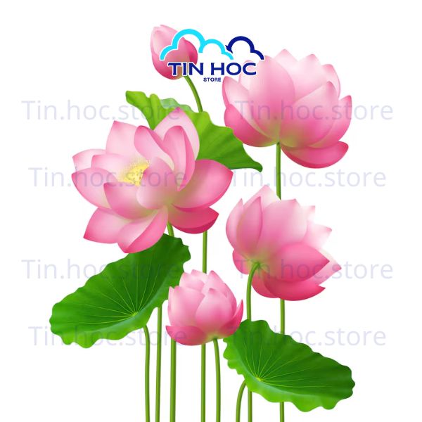 Mẫu backdrop hoa sen vector đẹp Mẫu backdrop hoa sen vector đẹp