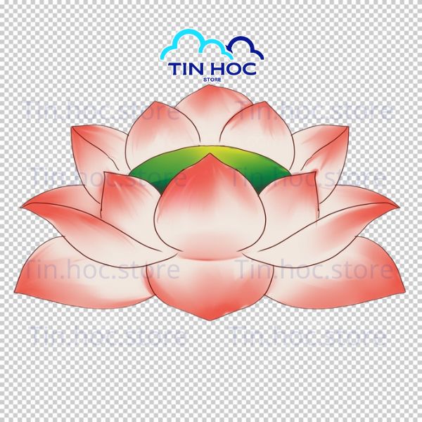 Mẫu hoa sen hồng vector tách nền PNG Mẫu hoa sen hồng vector tách nền PNG
