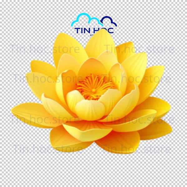 Mẫu hoa sen vàng vector đẹp Mẫu hoa sen vàng vector đẹp