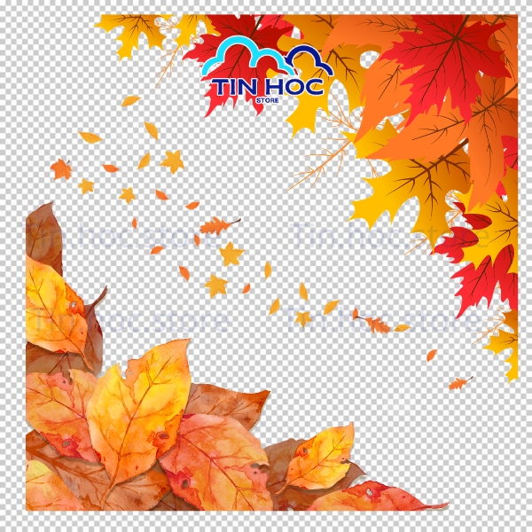 Mẫu lá phong vector trang trí poster