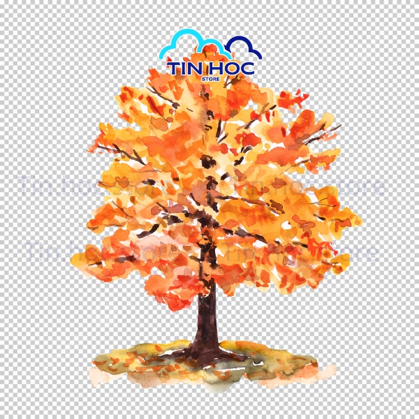 Mẫu lá phong vector trang trí khung viền