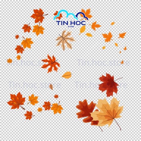 Mẫu lá phong vector cho in ấn và thiết kế