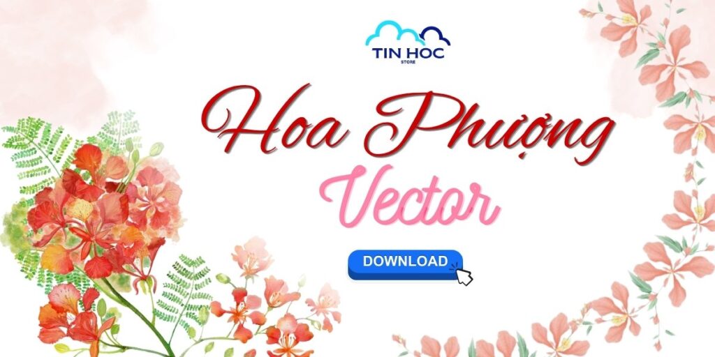 Tải hình ảnh hoa phượng vector đẹp, PNG tách nền Tải hình ảnh hoa phượng vector đẹp, PNG tách nền
