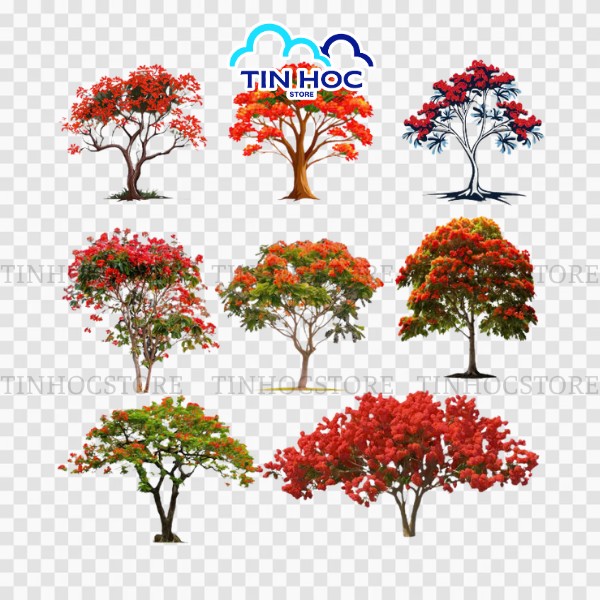 Tổng hợp các mẫu cây hoa phượng vector tách nền PNG Tổng hợp các mẫu cây hoa phượng vector tách nền PNG