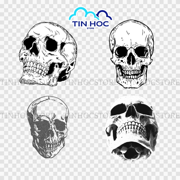 Mẫu đầu lâu vector nghệ thuật phong cách tối giản