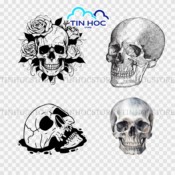 Mẫu đầu lâu vector phong cách hoạt hình độc đáo