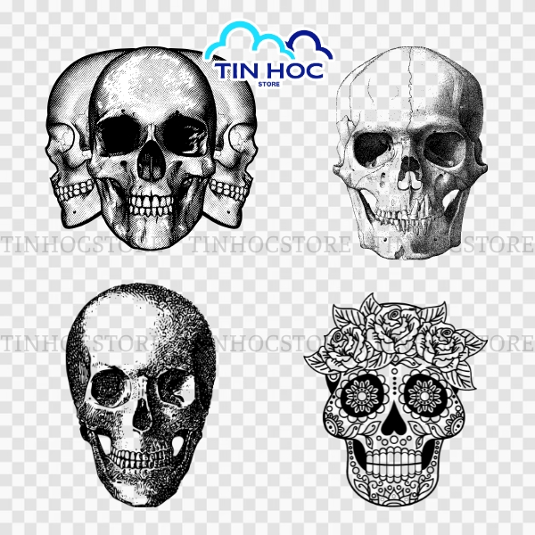 Bộ đầu lâu vector phong cách tattoo cổ điển