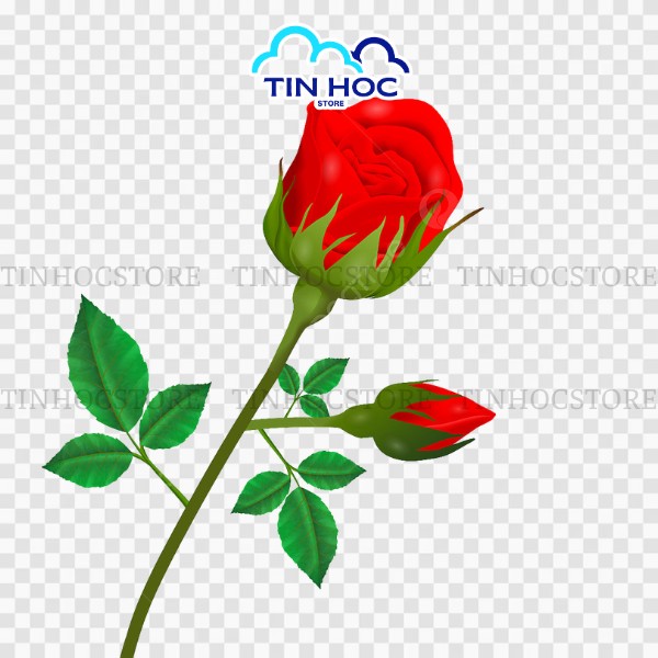 Vector cành hoa hồng đẹp