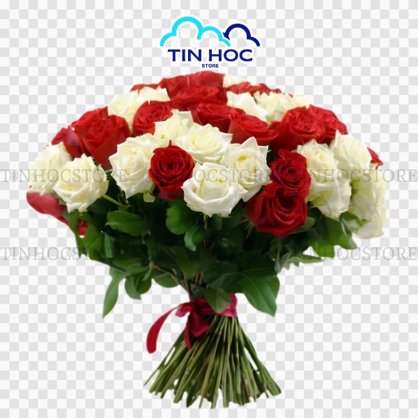 Mẫu bó hoa hồng vector đẹp