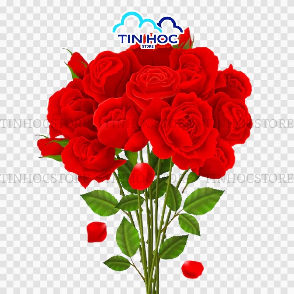 Mẫu bó hoa hồng vector đỏ rực