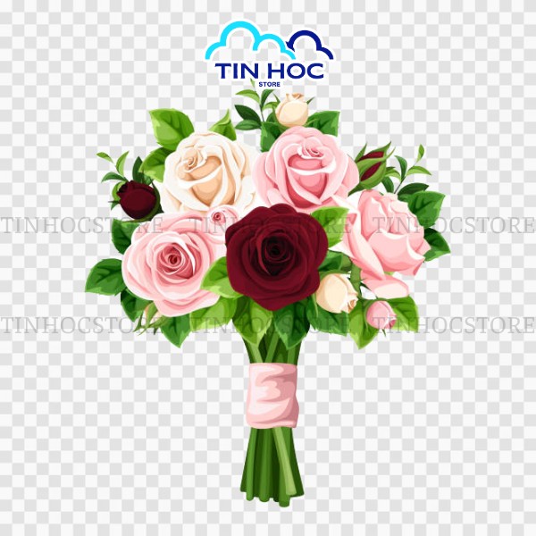 Bó hoa hồng vector tách nền sắc nét