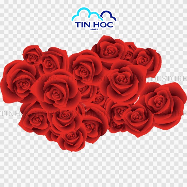 Mẫu hoa hồng đổ vector PNG đẹp