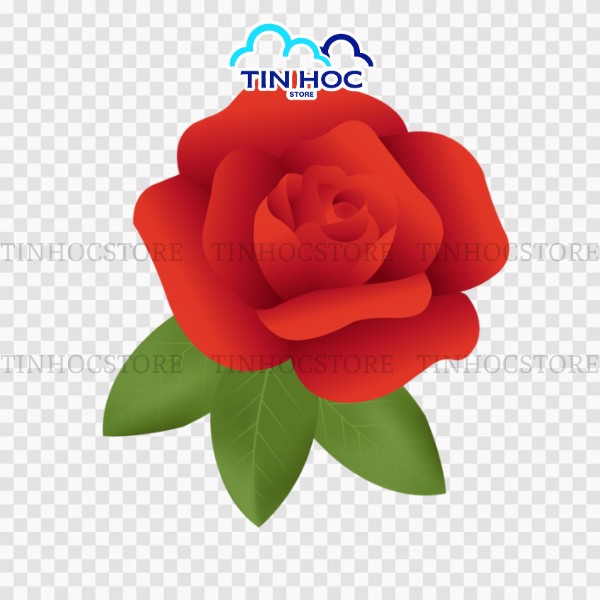 Mẫu hoa hồng vector PNG