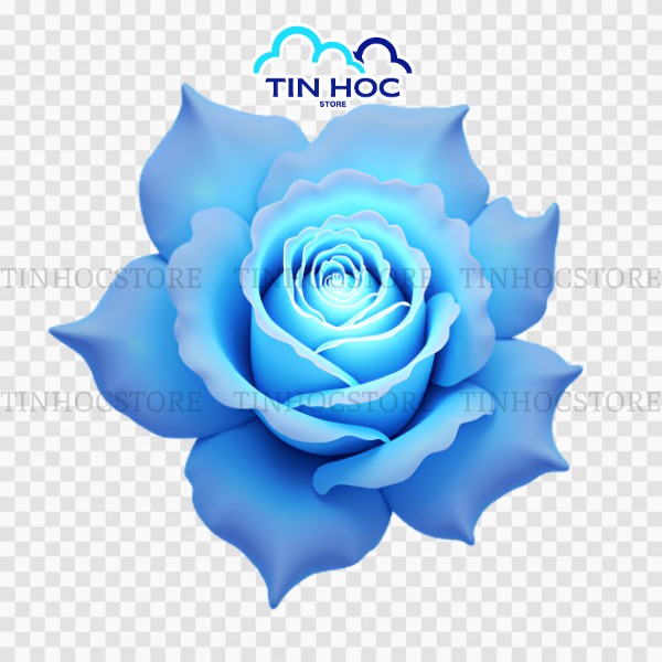 Mẫu hoa hồng xanh vector nở rộ lóe sáng