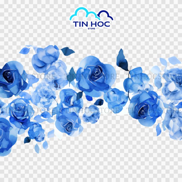 Mẫu hoa hồng xanh vector tách nền PNG