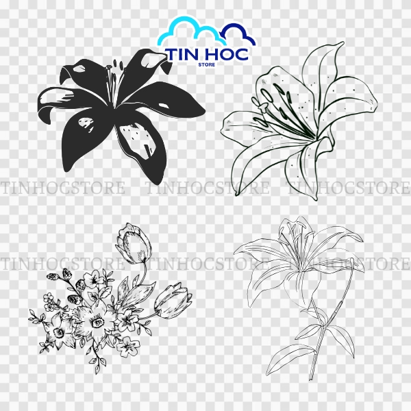 Vector Hoa Ly Trang Nhã Dành Cho In Ấn