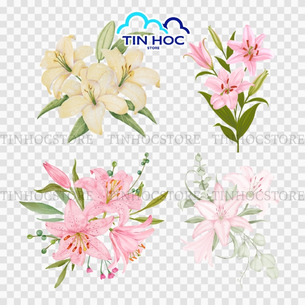 Hoa Ly Vector Nghệ Thuật Trang Trí Thiệp