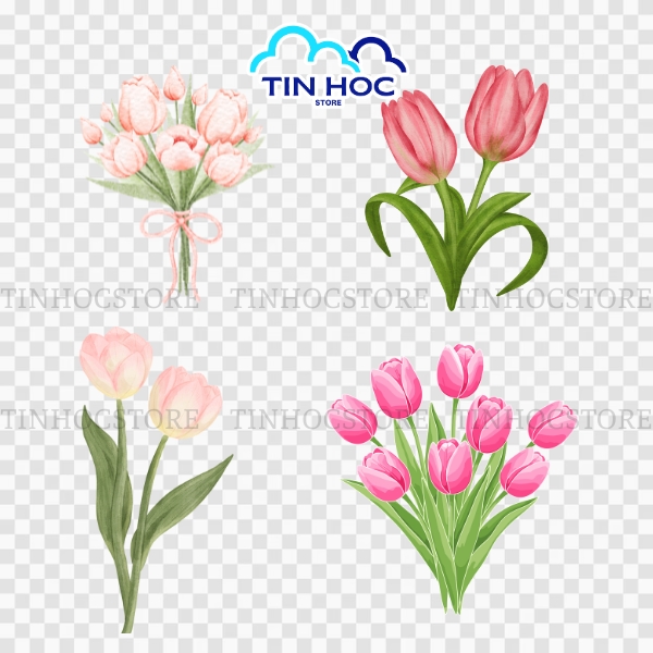Mẫu hoa tulip mang vibe nhẹ nhàng, thư giãn