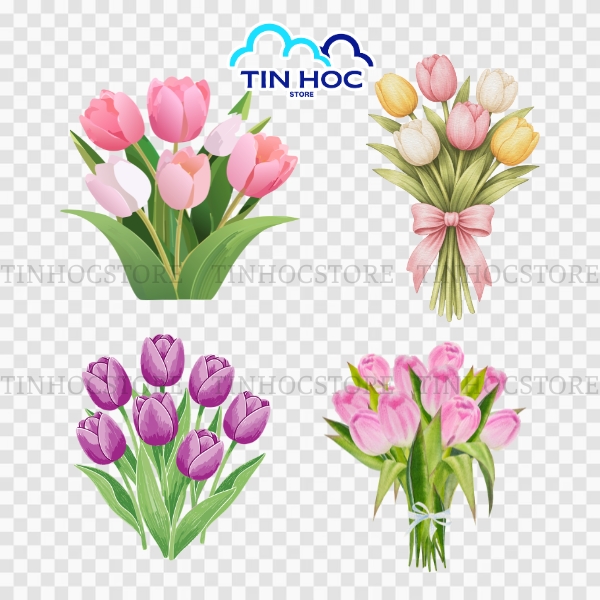 Mẫu hoa tulip nghệ thuật trong ánh sáng tự nhiên