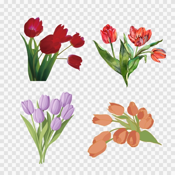 Mẫu hoa tulip vàng tươi mang lại năng lượng tích cực