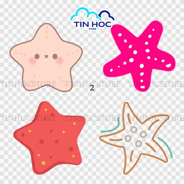 Tại sao sao biển vector lại cần thiết cho designer?