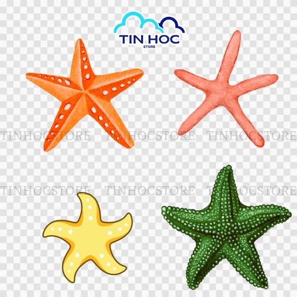 Mẫu sao biển vector họa tiết dễ thương này chuyên dùng in ấn lên áo thun hè