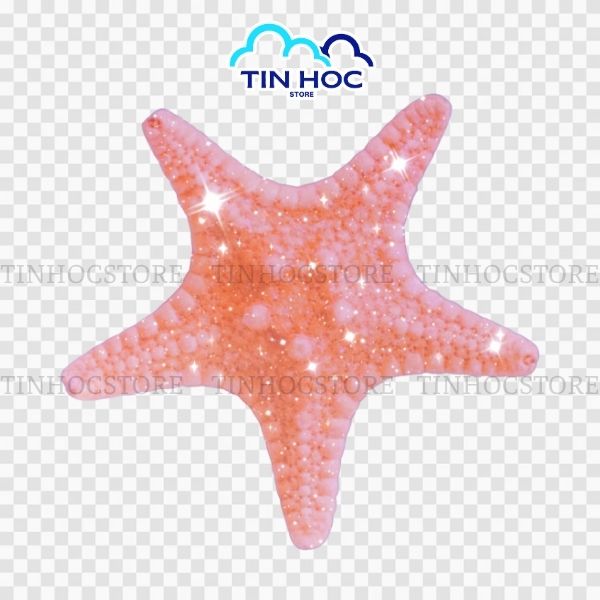 Mẫu sao biển vector 3D chân thực này hoàn hảo cho thiết kế poster du lịch hè