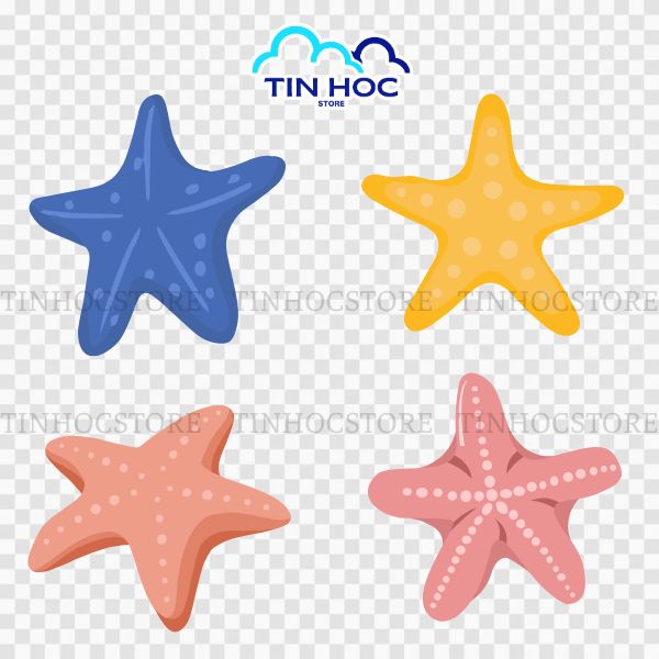 Các phong cách sao biển vector phổ biến nhất hiện nay